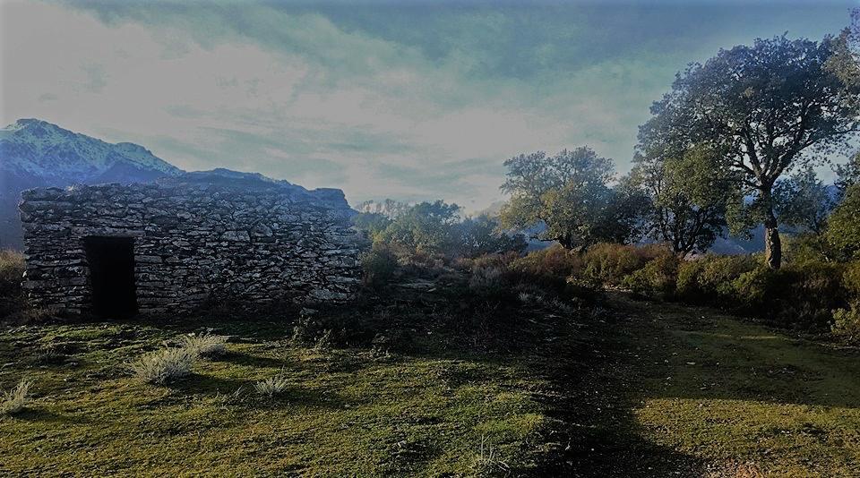 Auberge Casa Mathea Poggio-di-Venaco Εξωτερικό φωτογραφία