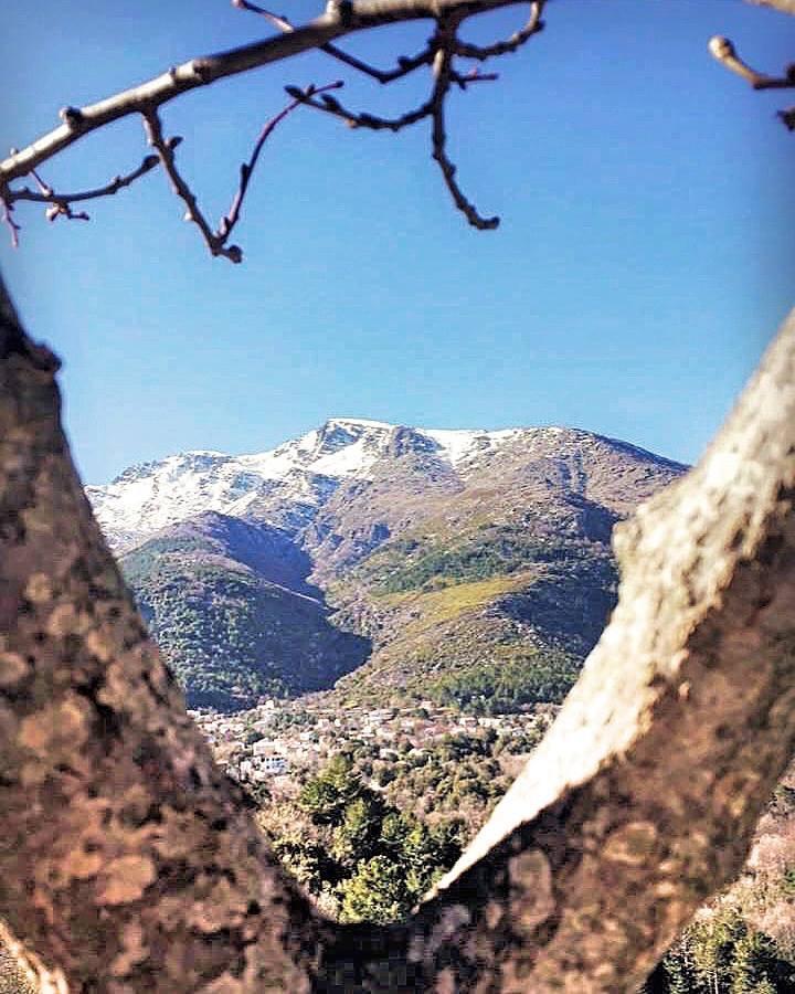 Auberge Casa Mathea Poggio-di-Venaco Εξωτερικό φωτογραφία